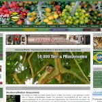20120304amazonasportal-full