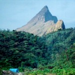pico-neblina