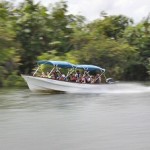 IMG_6833