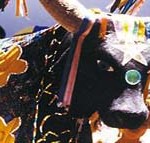 Bumba-meu-boi