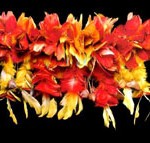 federschmuck_cinta karaja