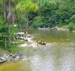 Ilha Bananal