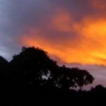 landschaft6_mit allen sinnen