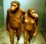 Museu de História Natural