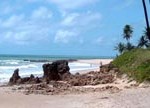 praia de coqueirinho paraiba_baixaki