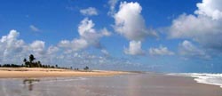 praia de mangue seco